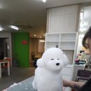 미용사 자격증 야간 이미지