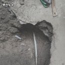 작은등샘 네이버블로그