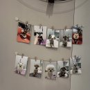 아이사랑 동물병원 | “우리아이동물병원” 사랑으로 우리 ’마리‘는 행복합니다.