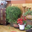 궁중누룽지백숙 이미지