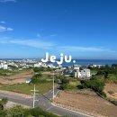 삼다낚시 | 제주도 원투 낚시 포인트 후기 주의사항 밤낚시 대여