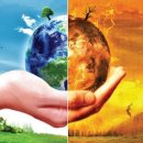 대구경북능금농협(청송) APC | ‘홍로’ 생산량 평년 수준…저온피해로 등급간 가격차 클 듯