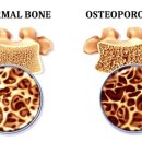 서울송내과의원 이미지