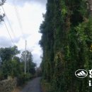 남원읍-65 이미지