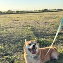 생태랑 놀아볼까 이미지