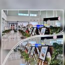 (주말) 서양화 이미지