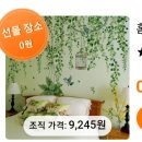 본가 갈때마다 웃겨죽겠음. 이미지