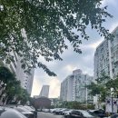 중동샘터 옆 | [공지] 대청/일원 임장 후기 – 강남 입성을 꿈꾼다면 시작하기 좋은 곳 (대치학원가 접근성과 재건축...