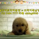 오케이주점