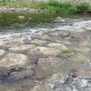 콩앤삐 펜션 이미지