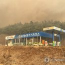 삼척농협가스충전소 이미지