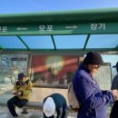 장기초등학교모포분교장 이미지