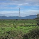 초원세차장 이미지