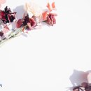 스텔라여성의원 이미지