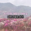 매화자동차정비 네이버블로그