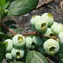 서당농장 이미지