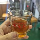 동백태권2도장 | 제주동백마을에서 진행한 이더라운드의 다정한동백생활 체험 후기