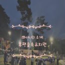 후평숲속유치원 | 춘천유치원 자연속에서 배우는 후평숲속유치원