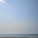 태안수산 - 미추홀구 경원대로852번길 16 | 태안 만리포맛집 태안현지인맛집 만대회수산 솔직후기