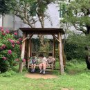 수안유치원 이미지