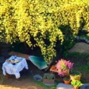 하동목장 이미지