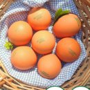 와라농장 이미지