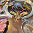 래돈 | 영등포시장역 맛집 흑돼지 특수부위 전문점 래돈 후기
