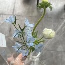 사파동278 | [혜화당] 창원꽃집/창원꽃집추천/창원꽃배달/반지동꽃집/문성대꽃집/창원꽃다발/창원플라워클래스/시티...