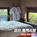 동백세탁 | 제주도 독채 펜션 추천 감성 자쿠지 숙소 성산 동백소랑 후기