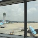 대우카프라자 | 삿포로 여름 여행 # 라벤더 팜토미타 청의호수 렌트카 홋카이도 우유 삿포로 맛집 호텔 추천 +) 비추...
