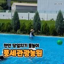 동남(풍세)-20-02 | 천안 물놀이 명소 풍세관광농원! 가족,조카랑 주말 오픈런 다녀왔어요