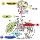 이상심리학 이미지