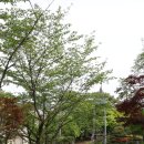 이춘화 | 나주 성당, 근대 건축과 순교의 흔적이 교차하는 공간