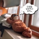 이마트24 동대사랑점 | March-1편 (그니까 내가 개미 역할이라고?)