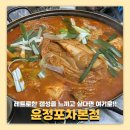 양천구 맛집 윤정포차 닭도리탕 솔직 리뷰