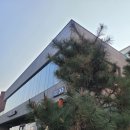 카 베스트 | 스타벅스 베스트 메뉴 초코 품은 부생카 스벅 대전 수침교 DT점 후기