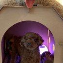 수하우스 이미지