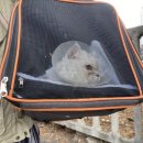 퍼니펫 동물병원 이미지