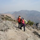 밀양고등학교 이미지