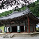 도리사로 이미지