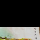 힐링트레블2 Daum카페