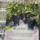 윤화농장 이미지