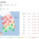 미세먼지 최악!!! 이미지