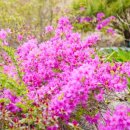 별빛독채펜션 이미지