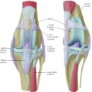 고촌동물병원 이미지