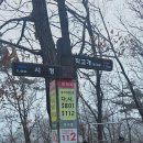 늠내길 1코스 숲길 이미지