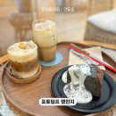 메종드슬로비 | 시즌2 포토덤프챌린지 3주차, 짧은 카페 후기들