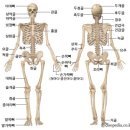 몸편한안마원 이미지