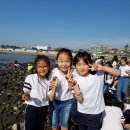 괴산 보광초, 바다와 함께하는 해양수련활동 Go! Go! 이미지