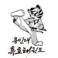 용인대흑호태권도장
